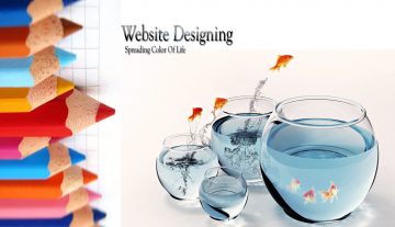 The different features of excellent web design companies